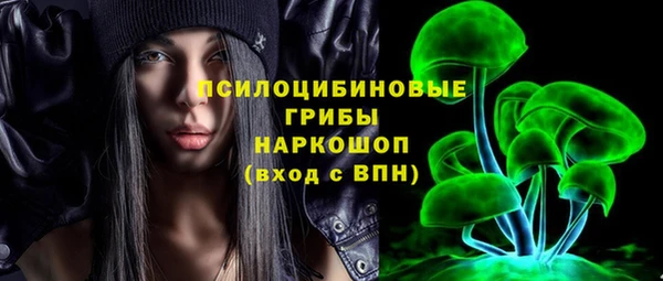 дурь Алексеевка