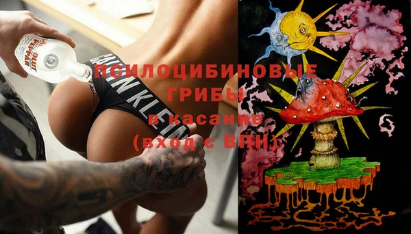 круглые Алзамай