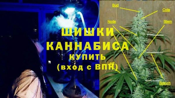 дурь Алексеевка