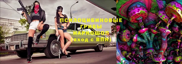 дурь Алексеевка