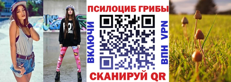 Псилоцибиновые грибы Psilocybine cubensis  Поронайск 